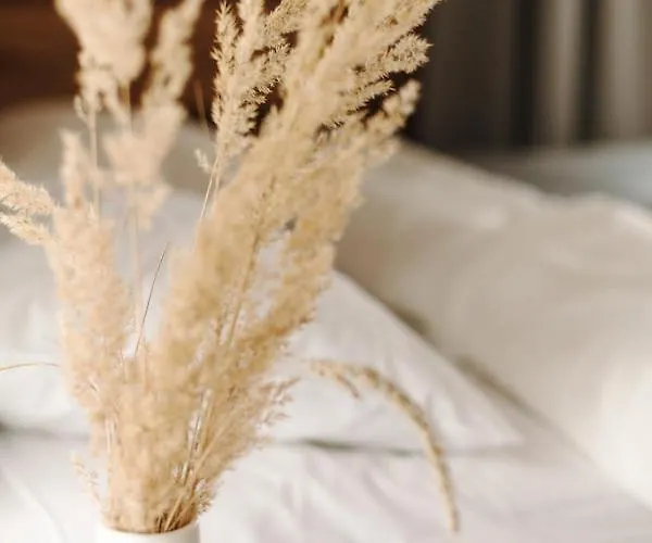 Daj Spokoj فيلة *