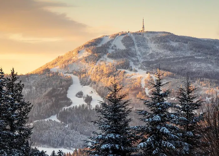 فيلة Daj Spokoj *